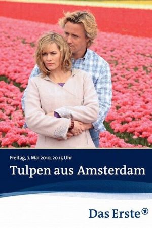 Tulpen aus Amsterdam