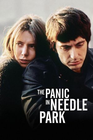 Panik im Needle Park